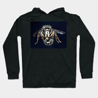 White faced hornet Hoodie